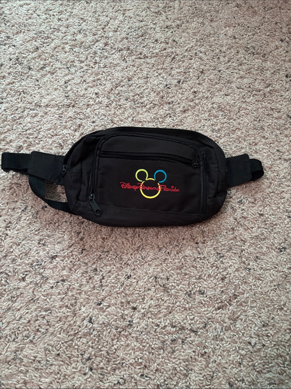 Y2K Disney Dreams Florida fanny pack